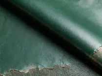 Visual & Tactile Traits