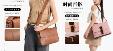 Versatile Colors: Professionalism Meets Personality