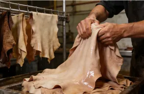 The Pre-Tanning Stage: Preparing the Hide